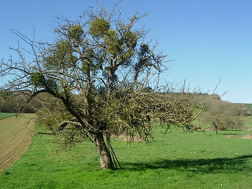 Plombier Estissac (10190)