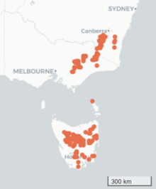 Map of south-eastern Australia, with orange markers showing the distribution of Euchiton traversii.