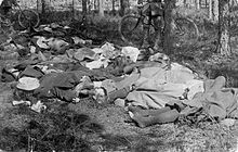 Executed members of the female Red Guards in Hennala prison camp, early May 1918 Executed Female Fighters.jpg