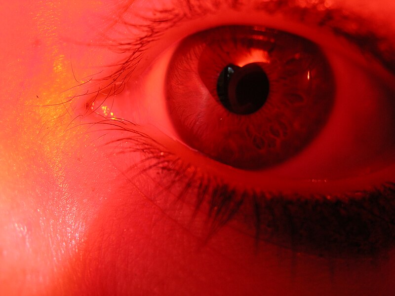 File:Eye (red).jpg