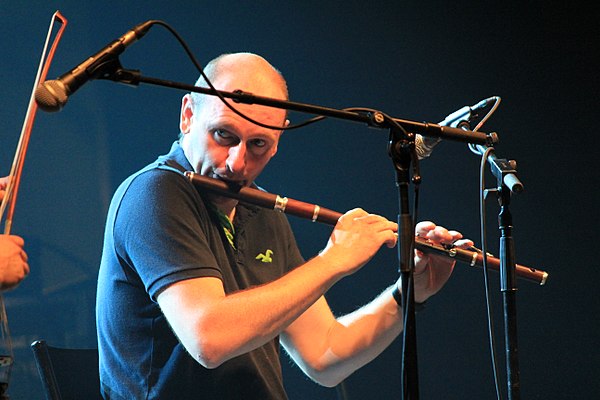 Michael McGoldrick live in at the Festival Interceltique de Lorient in 2012.