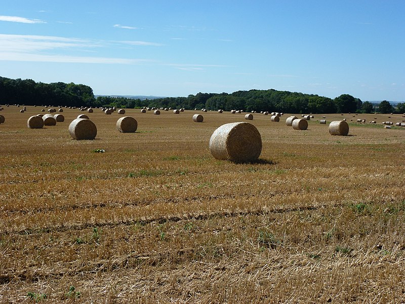 File:Faissault (Ardennes) paysage.JPG