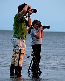 Father And Daughter Take Sunset Pictures Of Old Pier By Carole Robertson.jpg