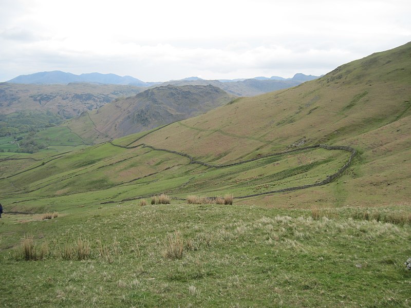 File:Field System to the west of Little Tongue - geograph.org.uk - 3177424.jpg