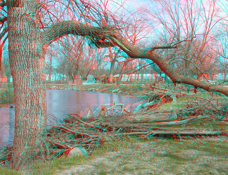 File:Flickr - jimf0390 - JimF 04-01-10-0035a driftwood from the flood on the Raccoon river Sac City, IA.jpg