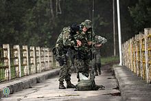 File:19 04 2022- Dia do Exército Brasileiro (52016606453).jpg - Wikipedia