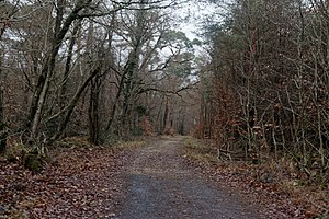 Route du mont Ussy.