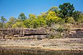 Forests along Jonk River near Beniadhus Waterfall.jpg