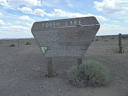 Fosilia Lagsigno, Lago-Distrikto, Oregon.JPG