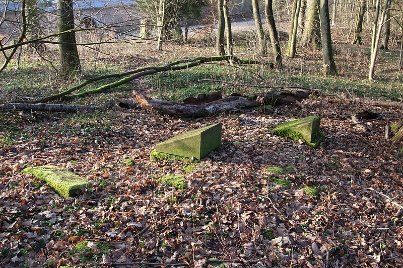 File:Friedhof Kloster Eberbach Grab 13 und 12.JPG