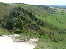 Westbury Hill, seen from the Westbury White Horse