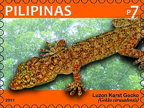 Descrierea imaginii Gekko_carusadensis_2011_stamp_of_the_Philippines.jpg.