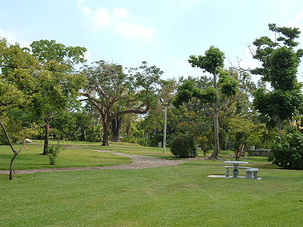 The John C. Gifford Arboretum, located on the campus of the University of Miami in Coral Gables, Florida, May 2006