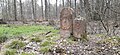 Grenzsteine „Hoher Stein“ an der heutigen Landesgrenze zwischen Bayern und Hessen auf dem Grenzberg an der Gemarkungsgrenze zu Wald-Amorbach und Hainstadt am ursprünglichen mittelalterlichen Grenzdreieck von Kurmainz, der Herrschaft Breuberg und des Kondominats Umstadt. Blick nach Süden Richtung Mümlingtal