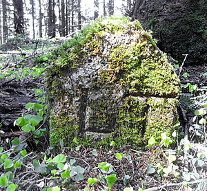 Bayerische Verwaltungseinheit Landgericht: Landgericht vor der Säkularisation, Landgericht älterer Ordnung, Auflösung der Landgerichte älterer Ordnung