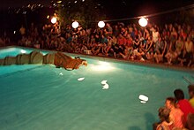 Synchronized swimming shows, a form of theatre in the round, draw from a long lineage of prosthetics on the stage, including puppetry