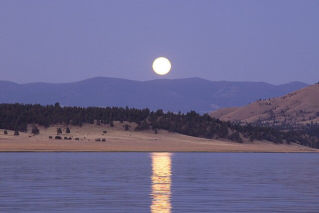 Helena Lewis And Clark National Forest- Wikipedia