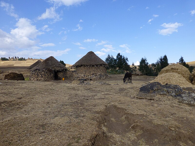 File:Hauts plateaux d'Ethiopie-Région Amhara (3).jpg