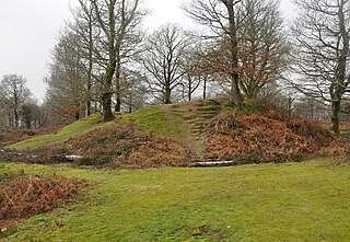 <span class="mw-page-title-main">Hembury Castle, Buckfast</span> Iron Age hill fort in Devon, England