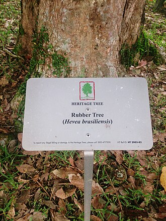 Plaque used to identify a heritage tree in Singapore Heritage trees plaque.jpg