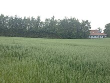 The former burial site at Hesselbjerg, - post-excavation. Hesselbjerg Cemetery.JPG