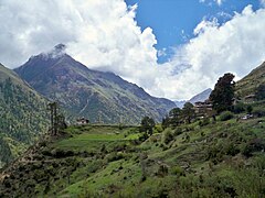 Sub-alpine Himalayan landscape