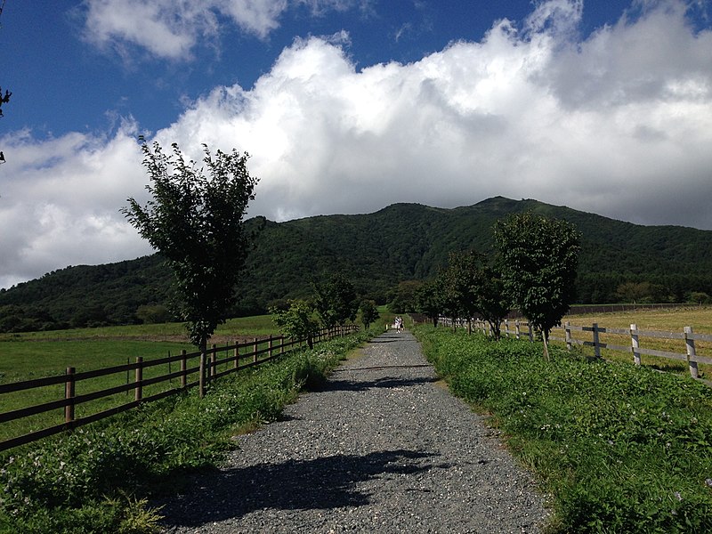 File:Hiruzennakafukuda, Maniwa, Okayama Prefecture 717-0501, Japan - panoramio (5).jpg