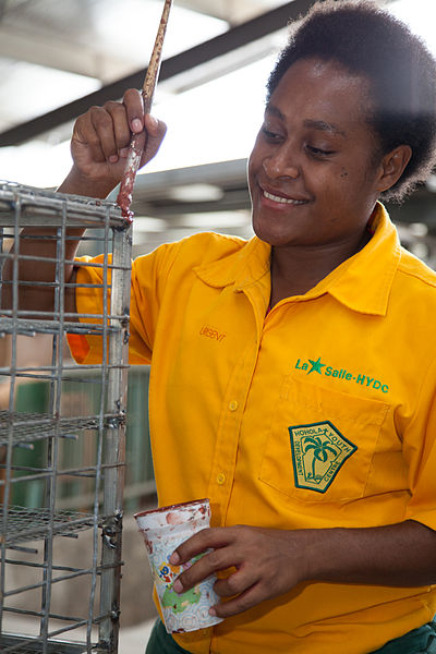 File:Hohola Youth Development Centre, PNG (10703223675).jpg