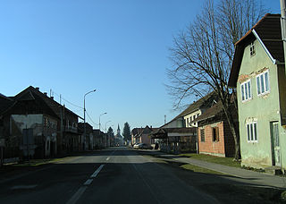 Hrvatska Dubica Village and municipality in Sisak-Moslavina County, Croatia