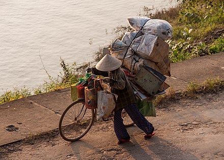 The Vietnamese are experts at transporting huge piles of goods on (motor)bikes.