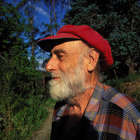 Friedensreich_Hundertwasser