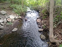 Wild-looking portion of Hutchinson River between Lake Innisfree and Reservoir 3