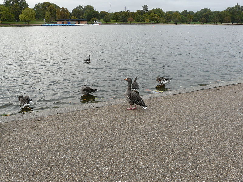 File:Hyde Park (29).JPG