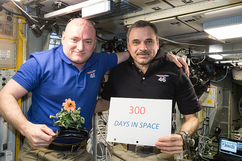 File:ISS-46 Scott Kelly and Mikhail Kornienko marked their 300th consecutive day in the Zvezda module.jpg