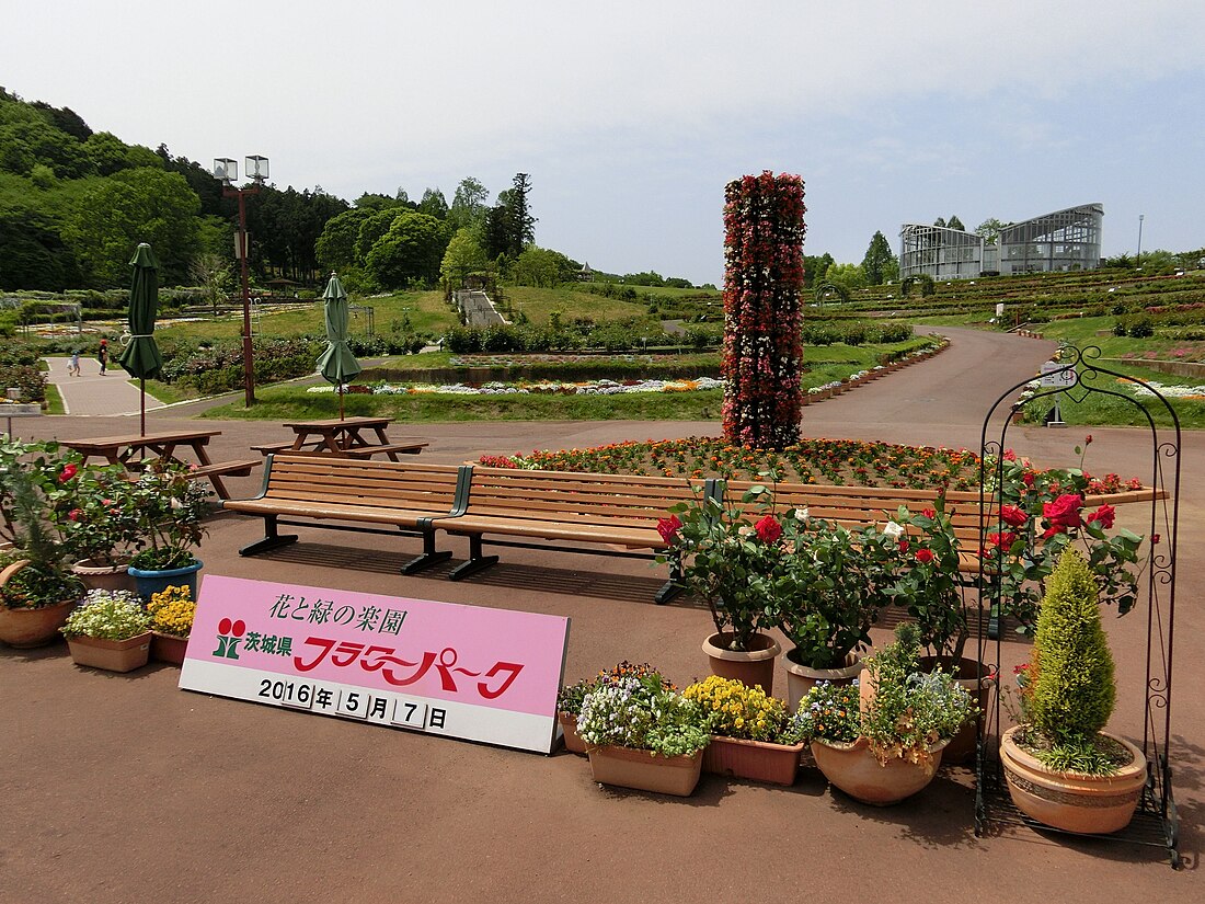 Parque de la Flor de la Prefectura de Ibaraki