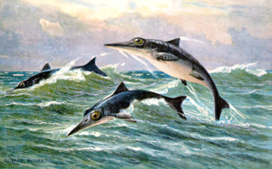 Ichthyosaur hharder.png