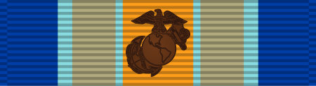 ไฟล์:Inherent Resolve Campaign Medal ribbon with Fleet Marine Force Combat Insignia.svg