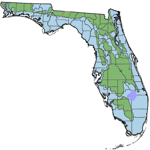 Florida during the Miocene Interglacial Florida.png