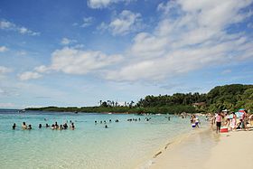 Illustratives Bild des Artikels Iguana Island