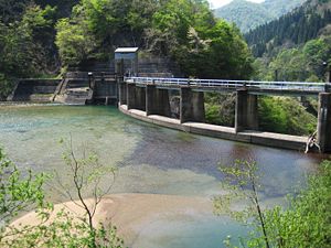 Itoshiro Bendungan lake.jpg