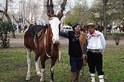 Español: Desfile civico militar sobre la Av. Luro, Mar del Plata, Argentina