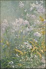 John Twachtman, Kwiaty łąkowe (ok. 1892)