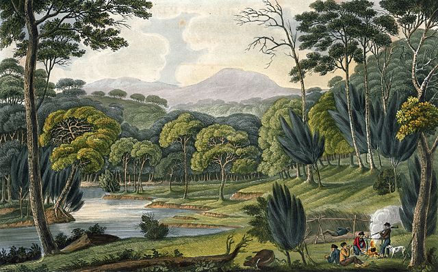 Convict artist Joseph Lycett's 1825 painting of the Nepean River shows a gang of bushrangers with guns.