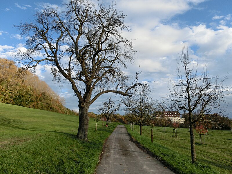 File:Jubiläumsweg Bodenseekreis - Treffen der Wegewarte 2013 2061.JPG