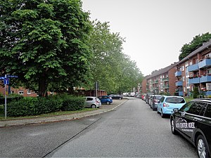 Julius-Brecht-Strasse (Kiel).jpg