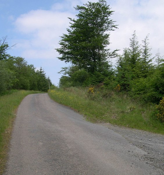 File:Junction of Forest track with Banc Farm road. - geograph.org.uk - 1337595.jpg