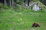 Vignette pour Juraparc