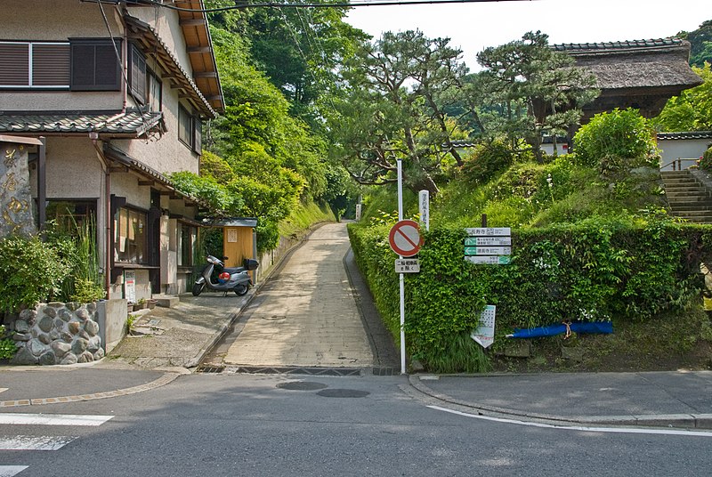 File:Kamegayatsu-Pass,-Yamanouchi-side.jpg