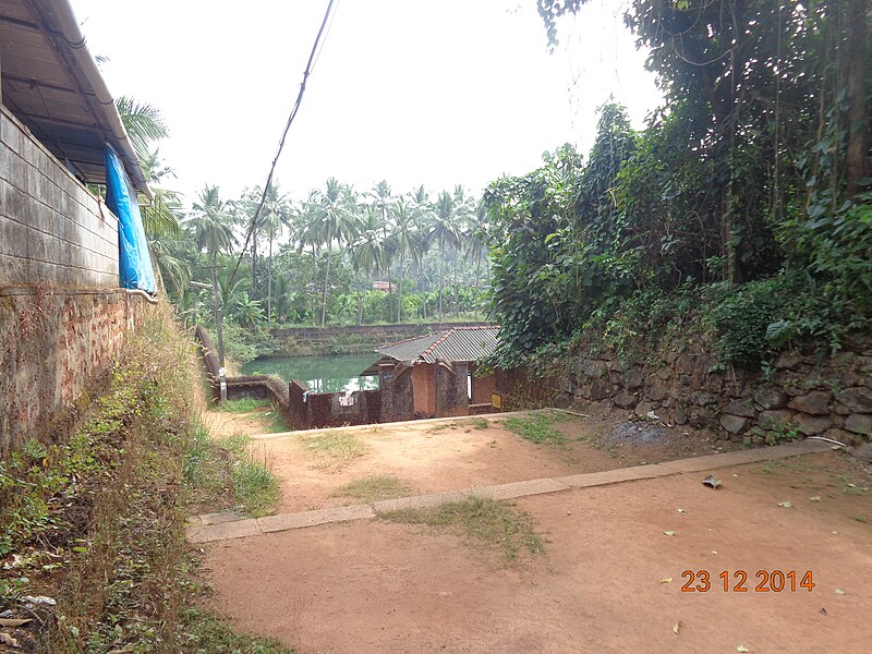 File:Karikkkad subrahmanya temple- temple pond.JPG