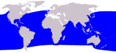 Mapa de distribuição do cachalote pigmeu.